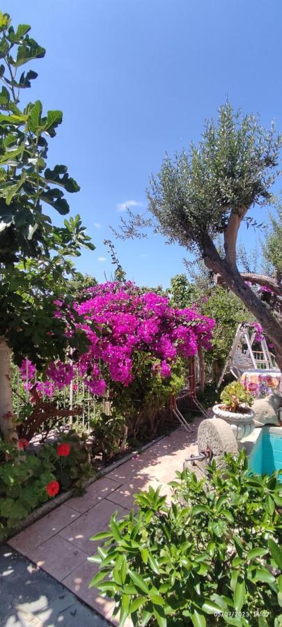 مبيت وإفطار فورناري La Casa Di Mariu المظهر الخارجي الصورة